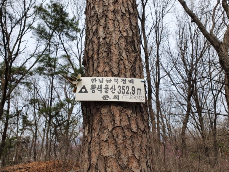 삼박골산 정상 이미지