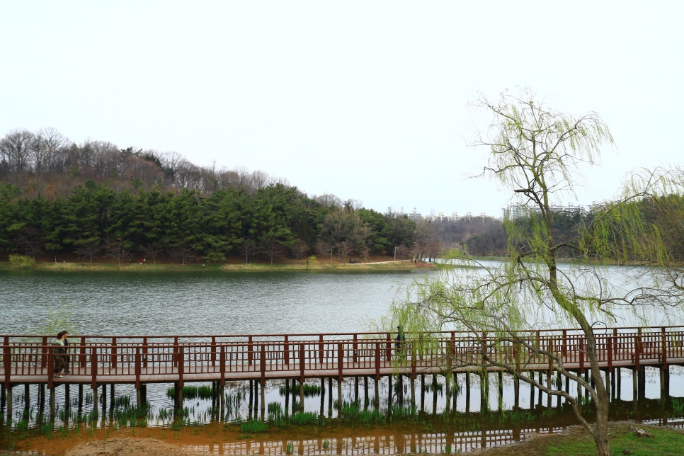 (주)은파 이미지