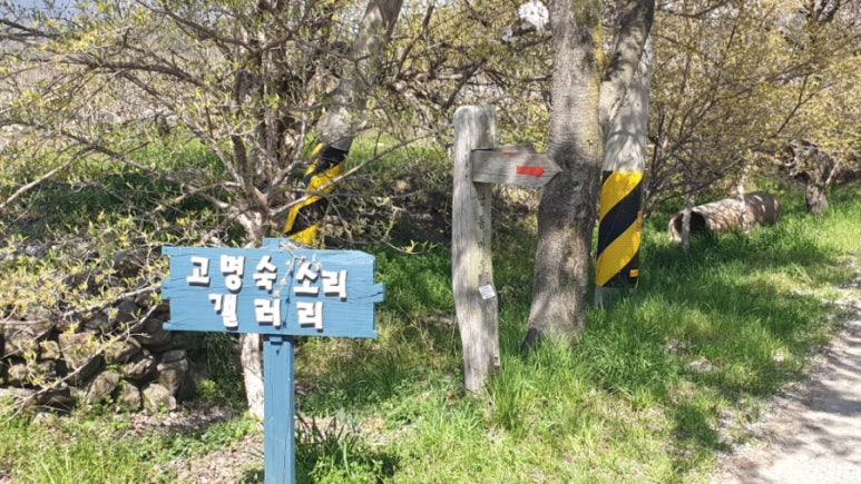소리갤러리 이미지