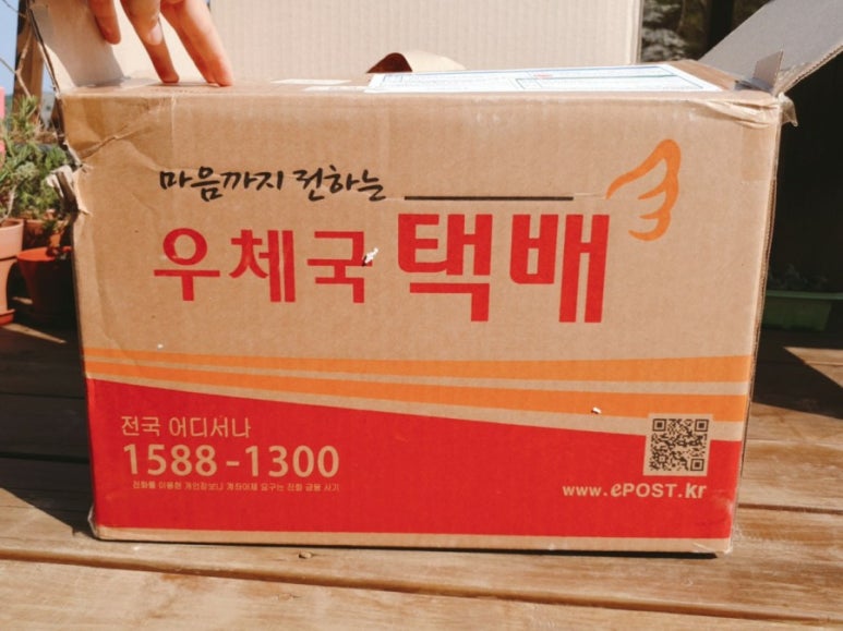 아이디플랜츠 이미지