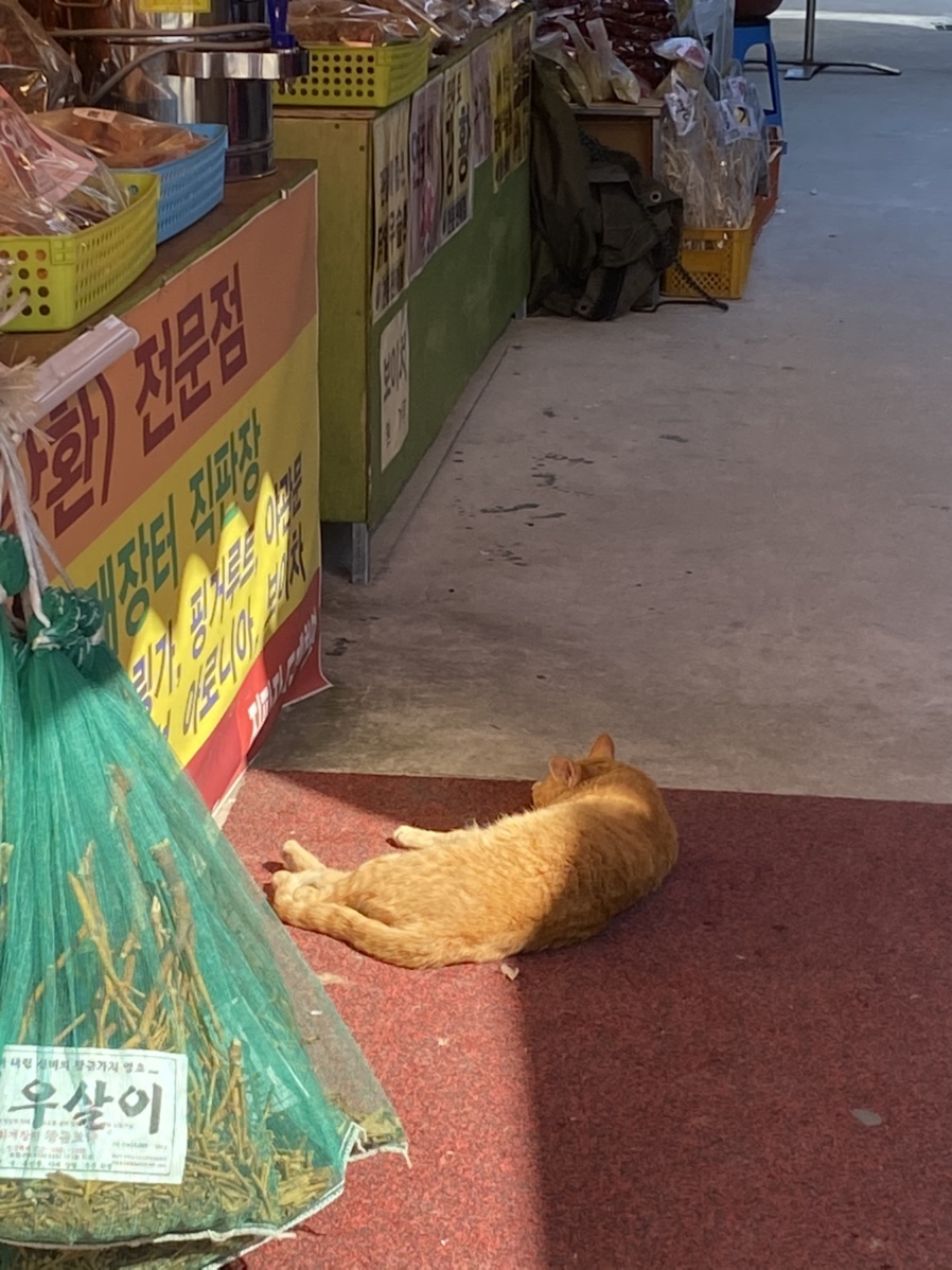 화개파크 이미지