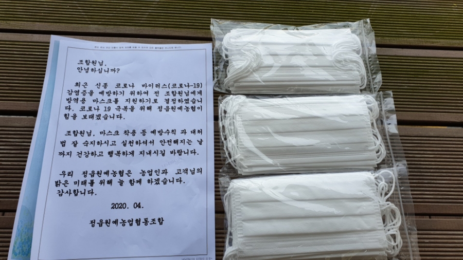정읍장갑 이미지