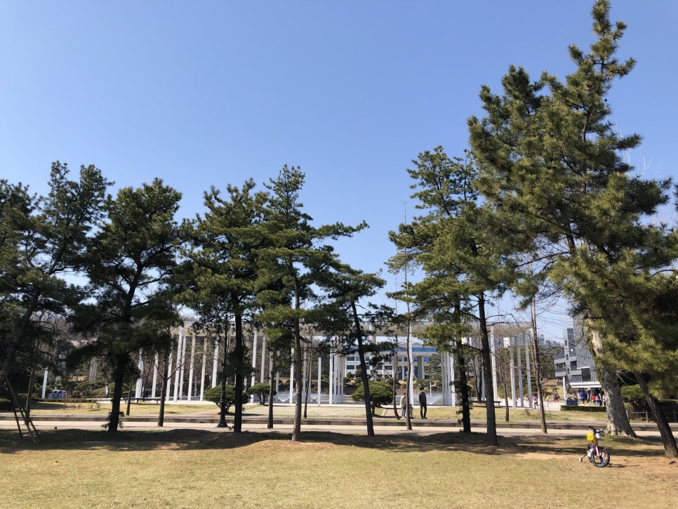 한양대학교 안산캠퍼스 이미지