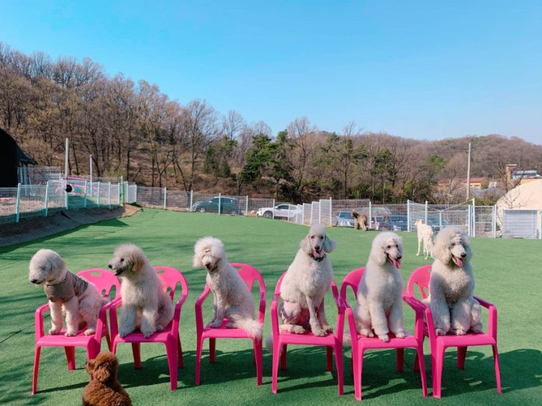 옥동이 이미지