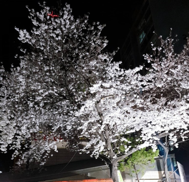 소소베 이미지