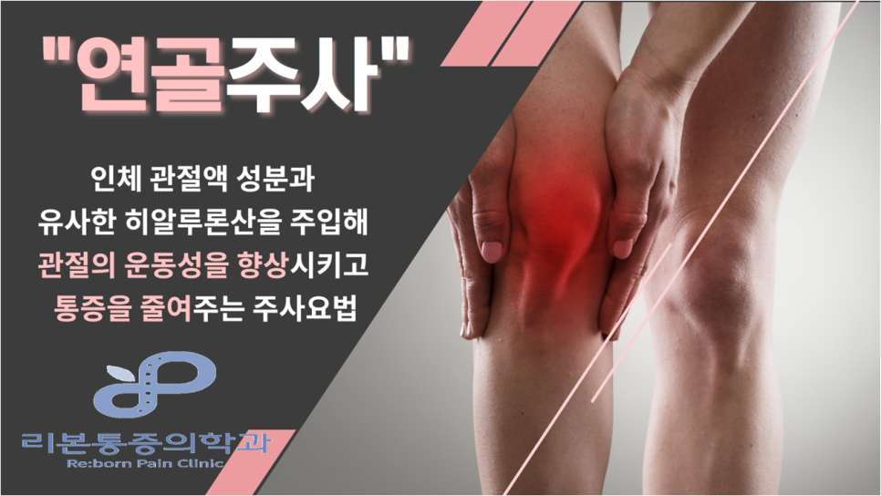 리본마취통증의학과의원 이미지