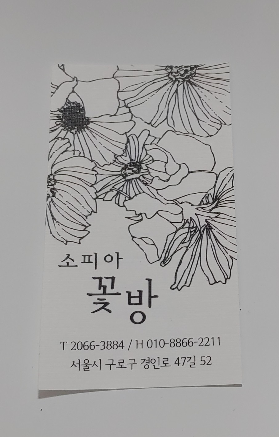 꽃집소피아 이미지