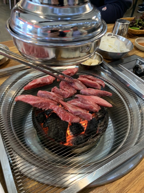 은행나무갈매기 이미지