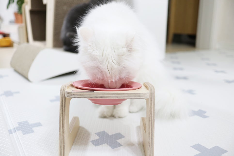 프로스코 이미지