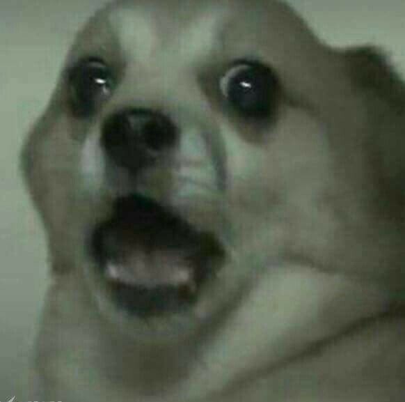 꿀을뜨는남자 이미지