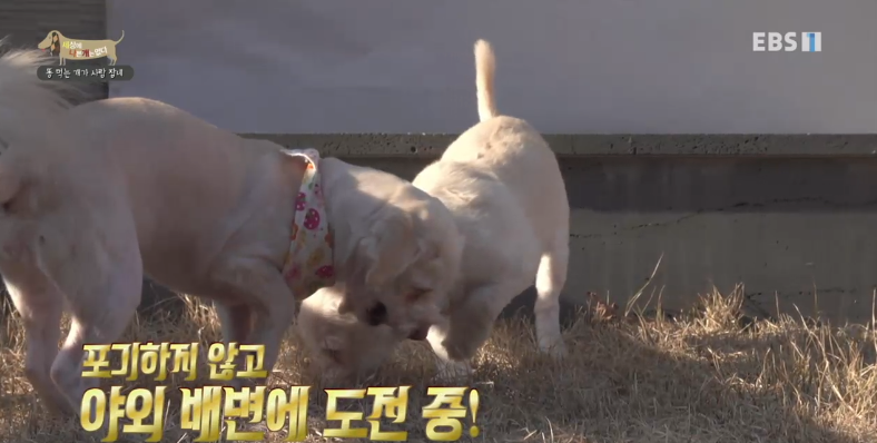 나리솔루션 이미지