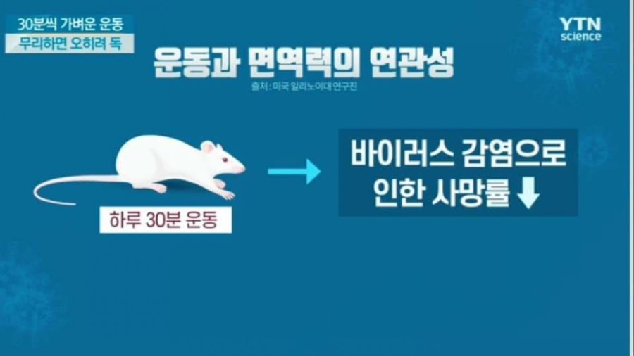 바디웰짐 이미지