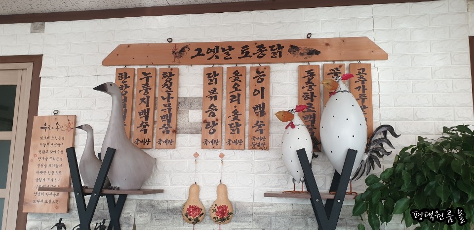 옛날토종닭 이미지