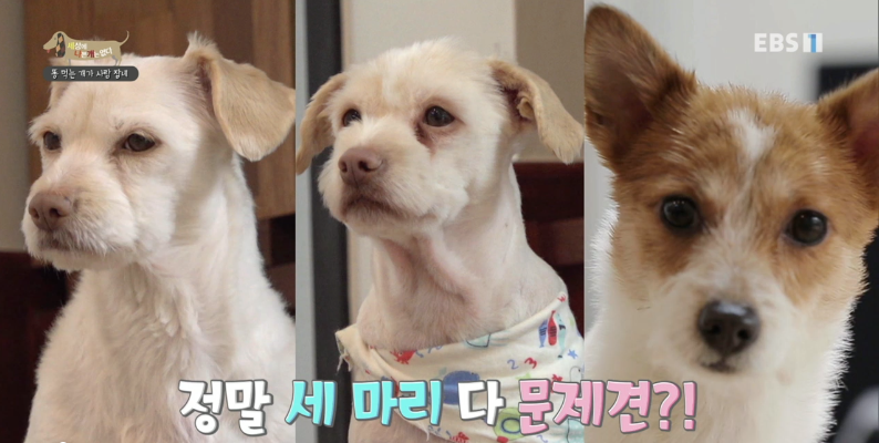 나리솔루션 이미지