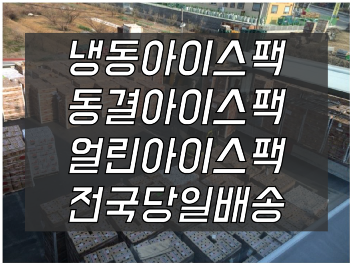 제일아이스냉동 이미지
