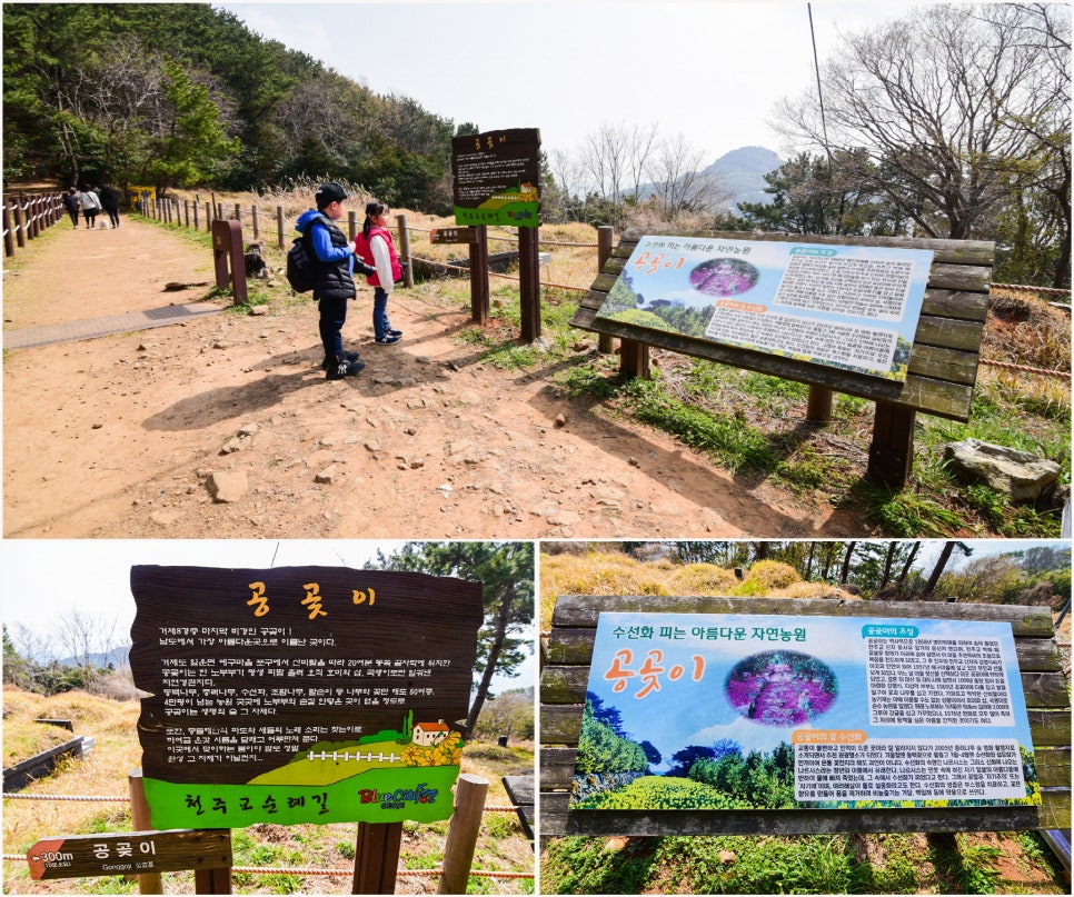 공곶이이야기 이미지