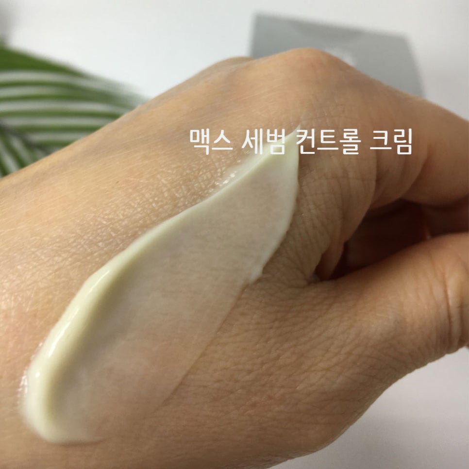 맥스라인 이미지