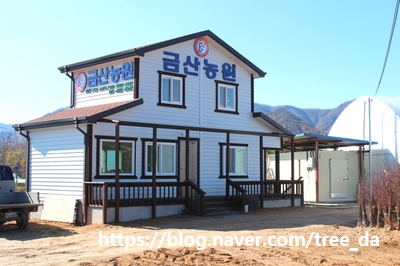 그린수입품 이미지