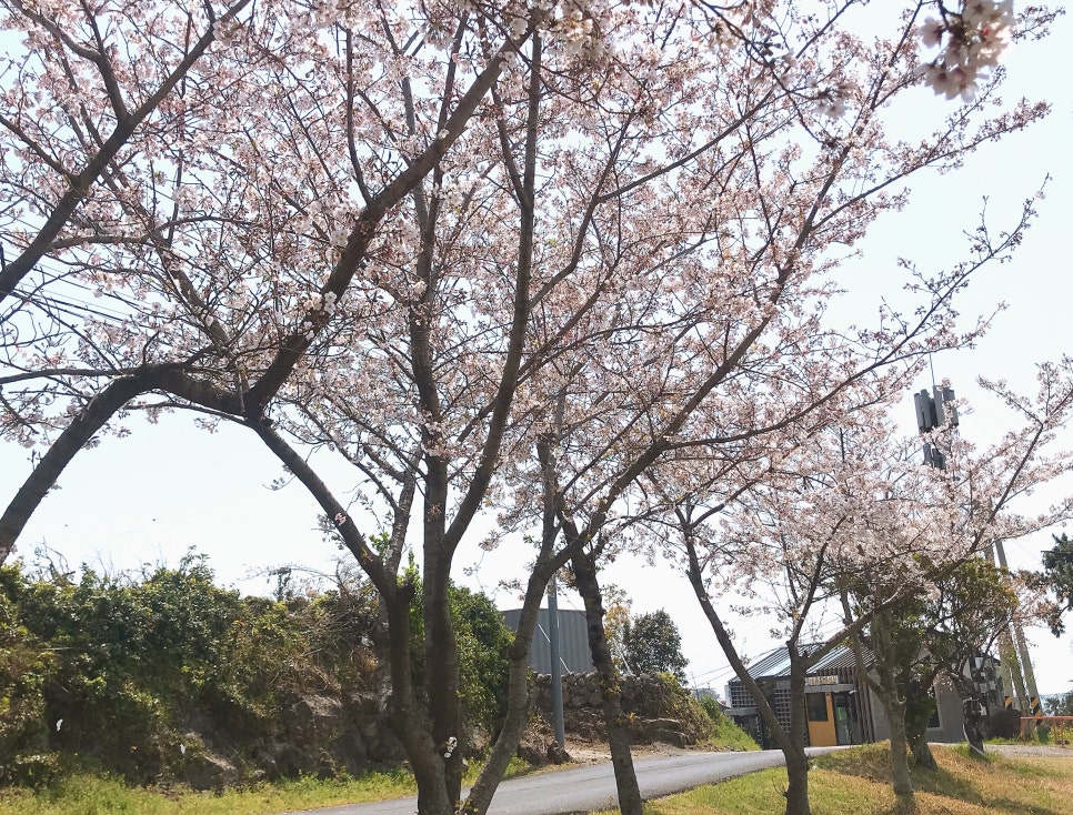 색달로망스 이미지