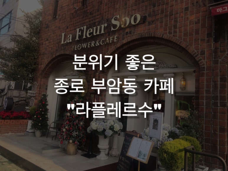 라플레르수 이미지