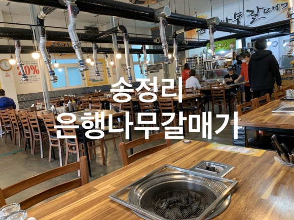 은행나무갈매기 이미지