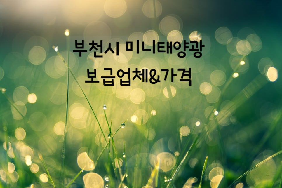 태현이엔지 이미지