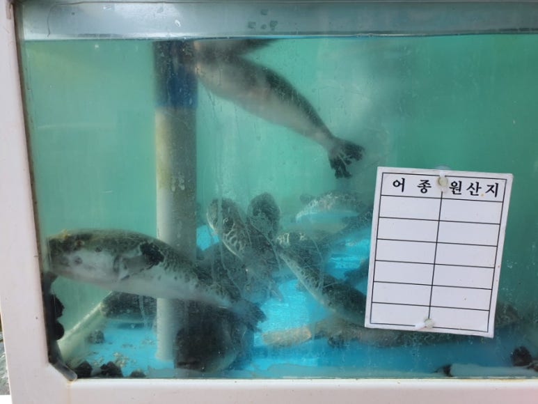 감포은정횟집 이미지
