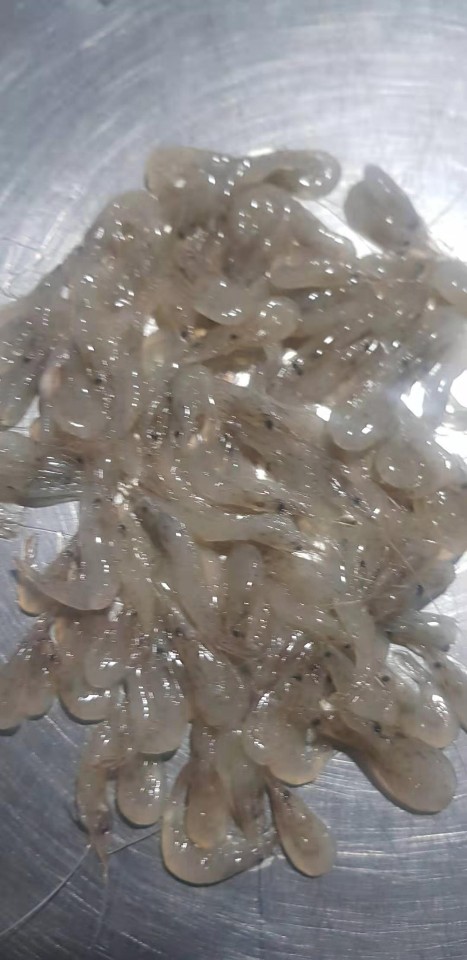 (주)명문교역 이미지