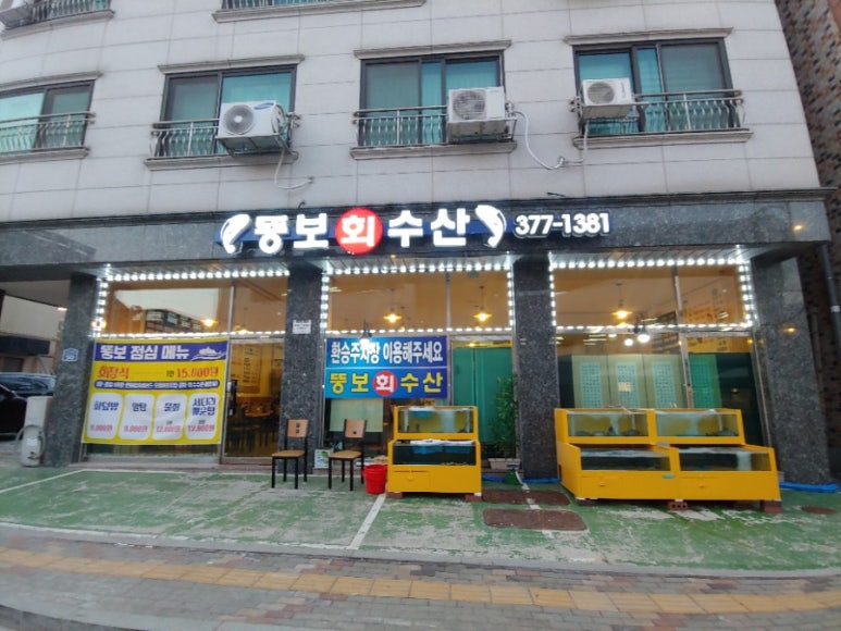 뚱보수산 이미지