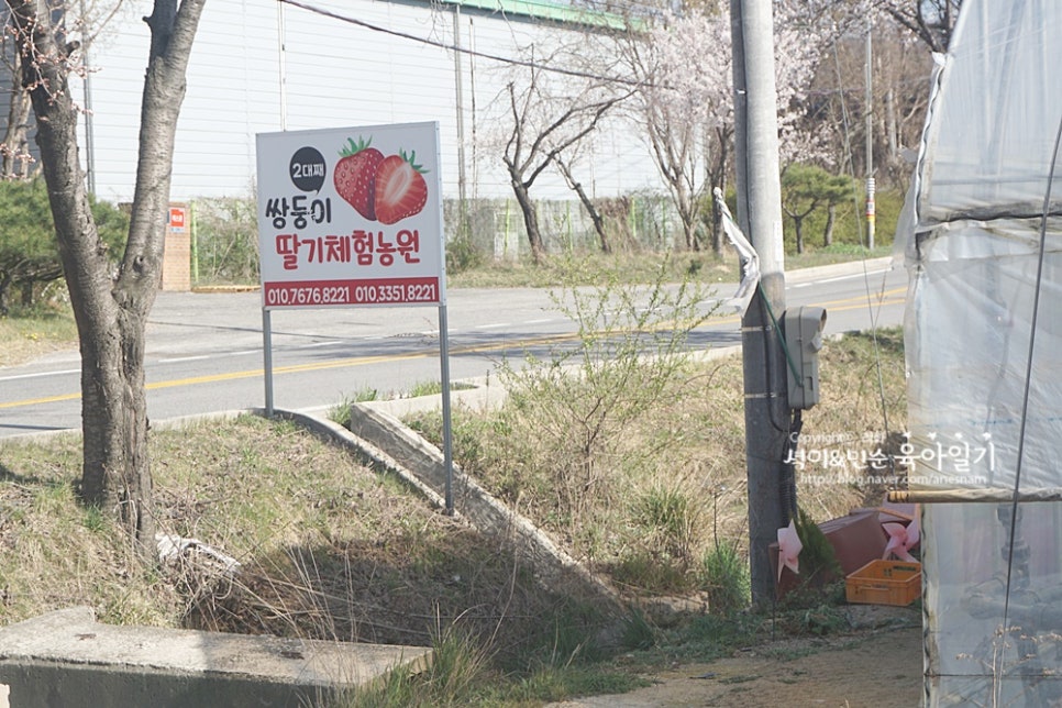 쌍둥이농원 이미지