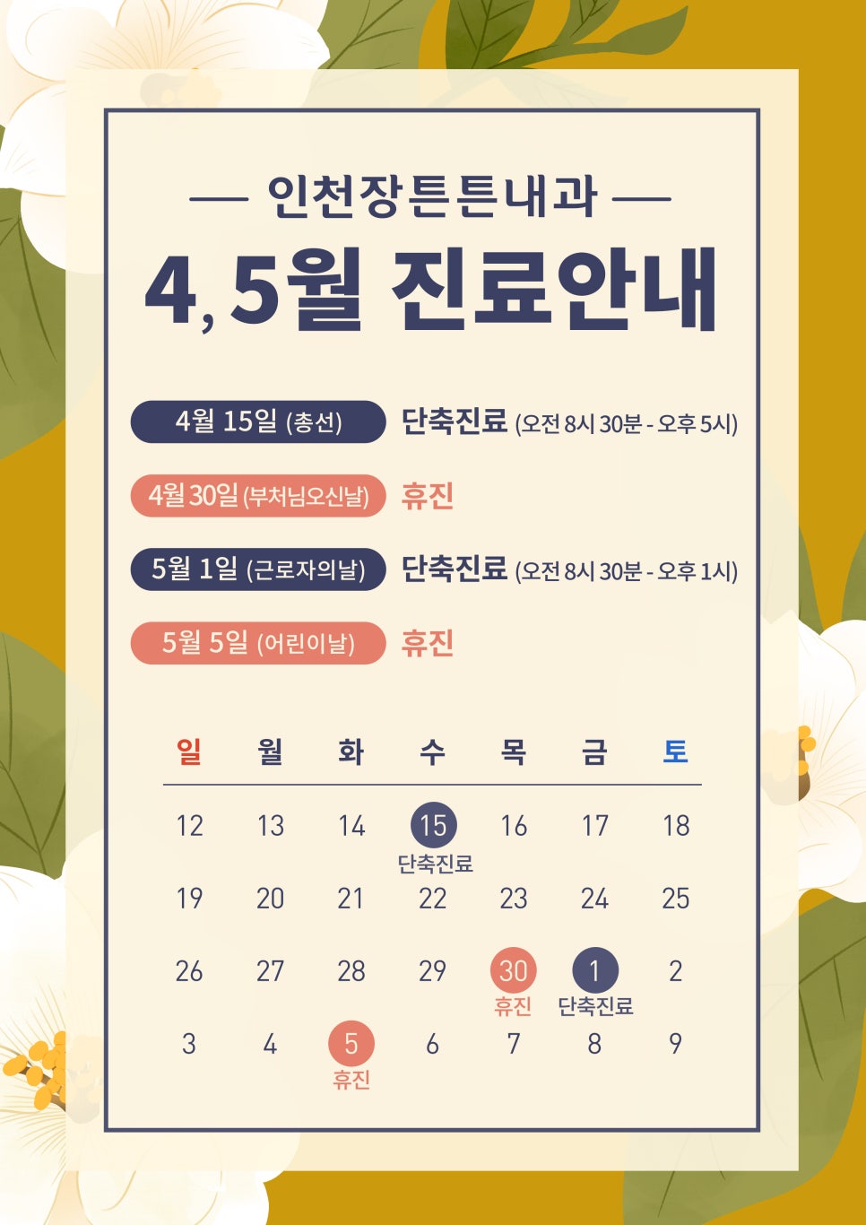 더튼튼건강 이미지