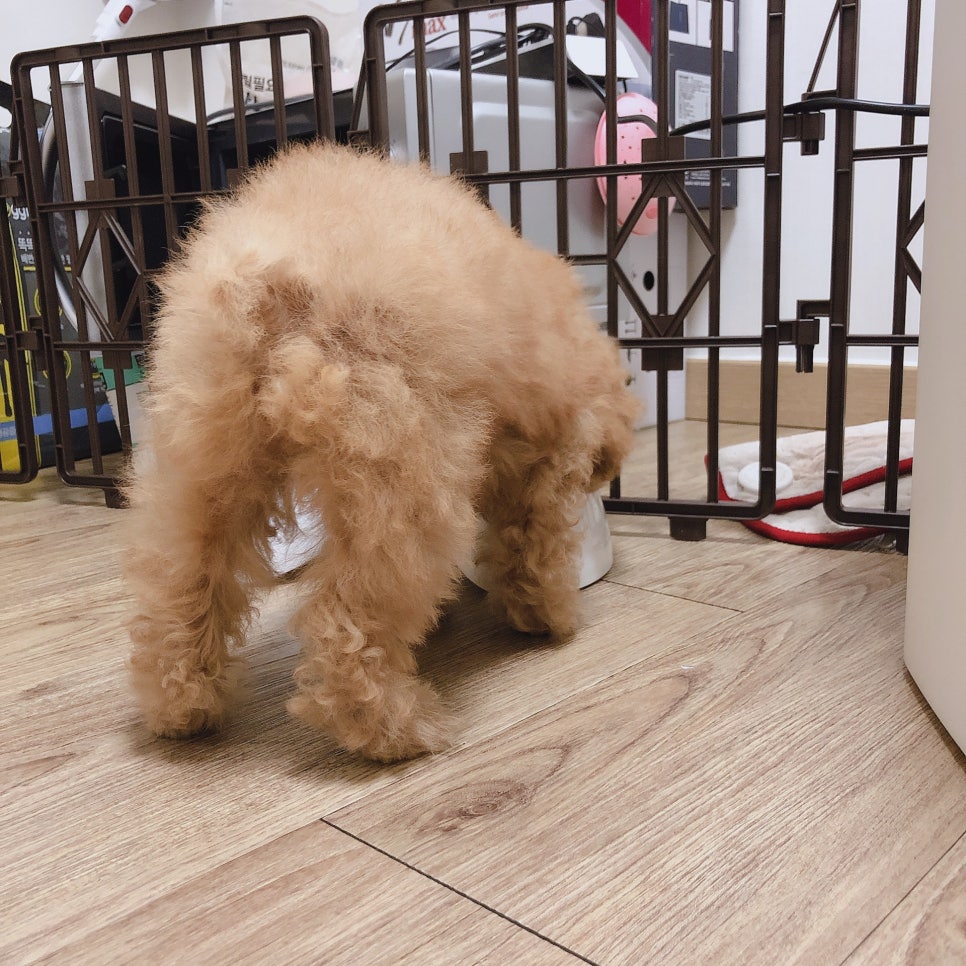 닥터메이 이미지