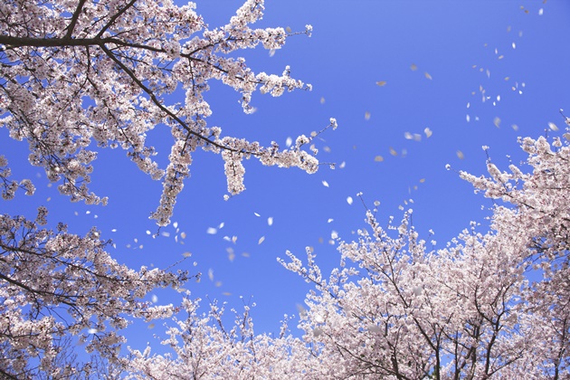 산과들과바람 이미지