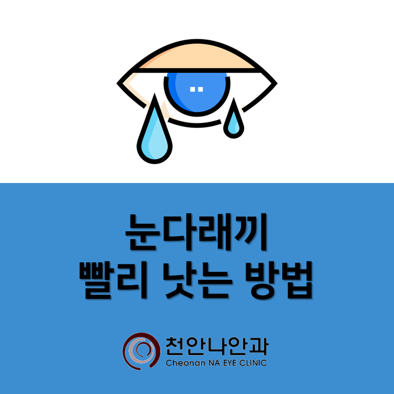천안나안과의원 이미지