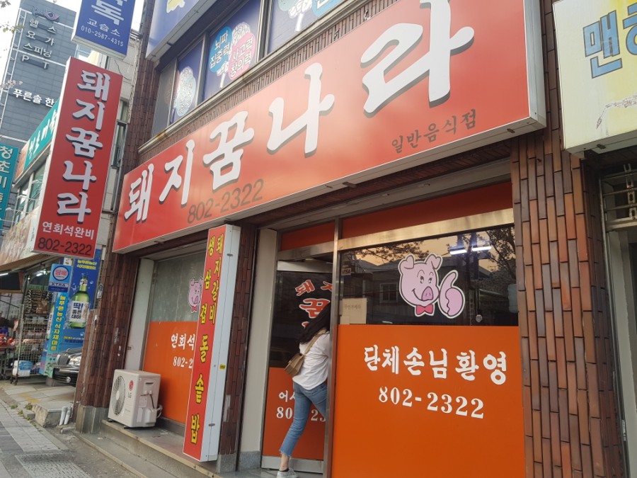 돼지꿈나라 이미지
