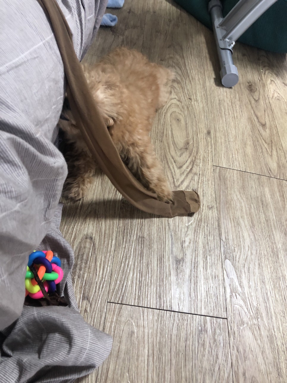 닥터메이 이미지