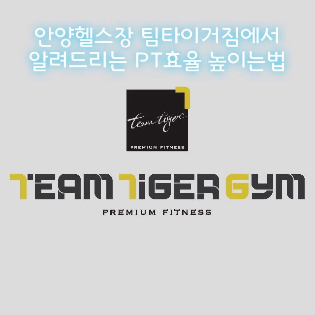 팀타이거짐1 이미지