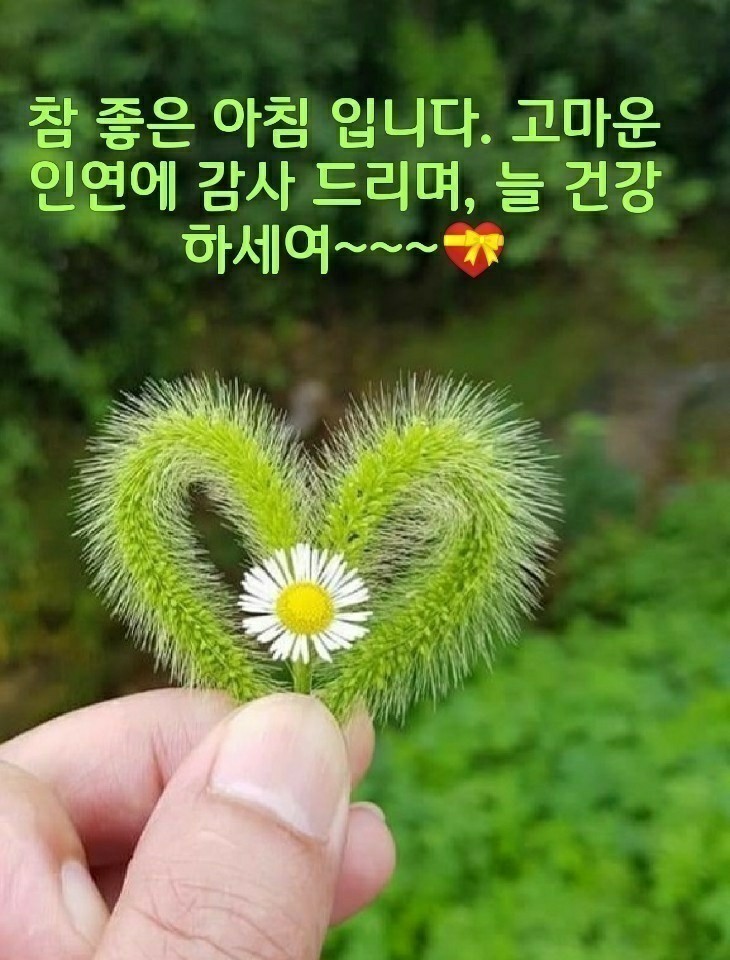 카펫코리아협동조합 이미지
