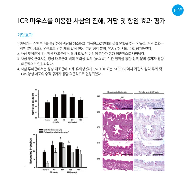사삼가스 이미지