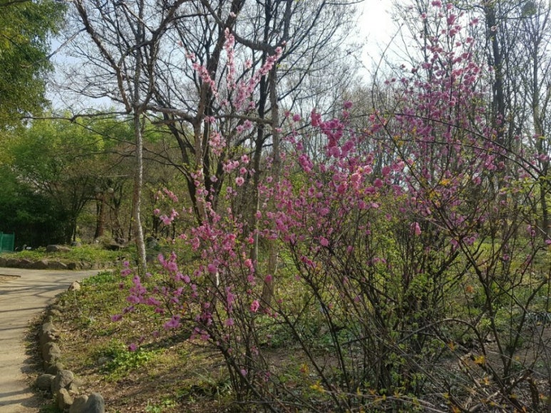 (주)천지 농업회사법인 이미지