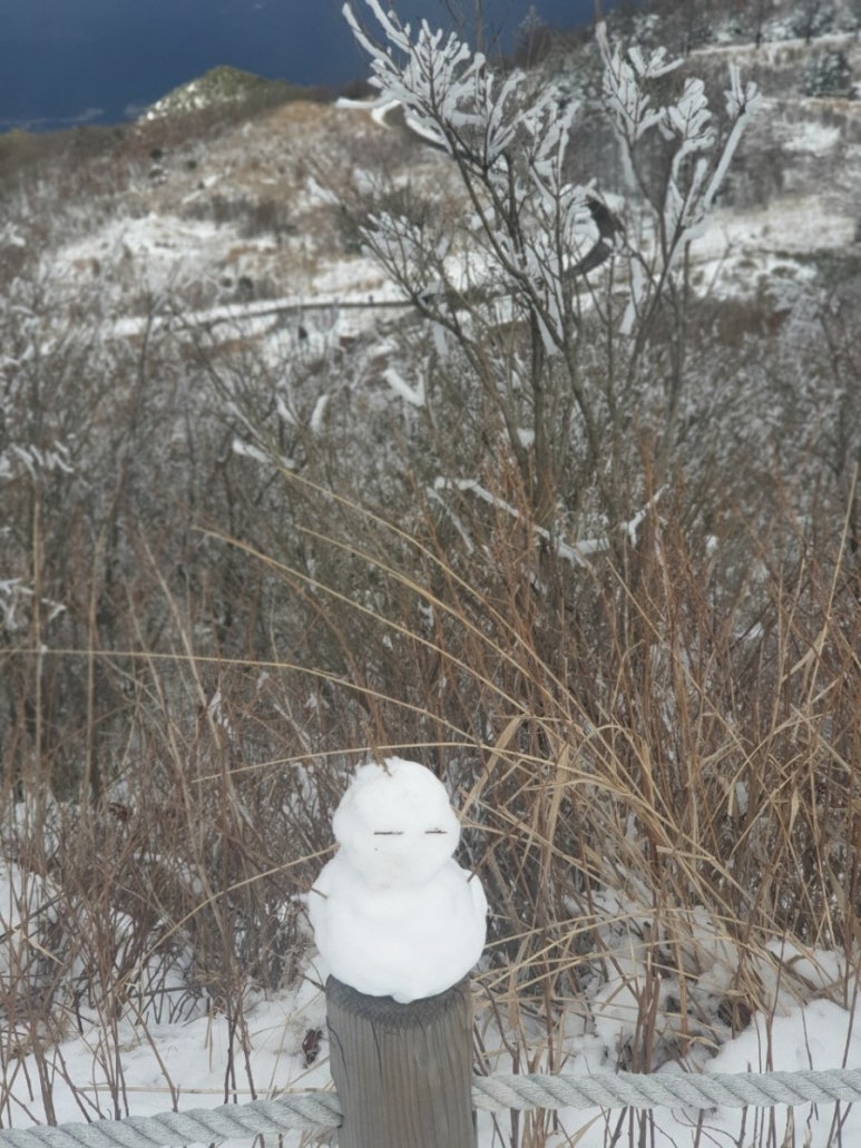 산정원 이미지
