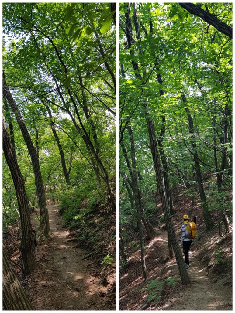 절벽같은 경사로 이미지