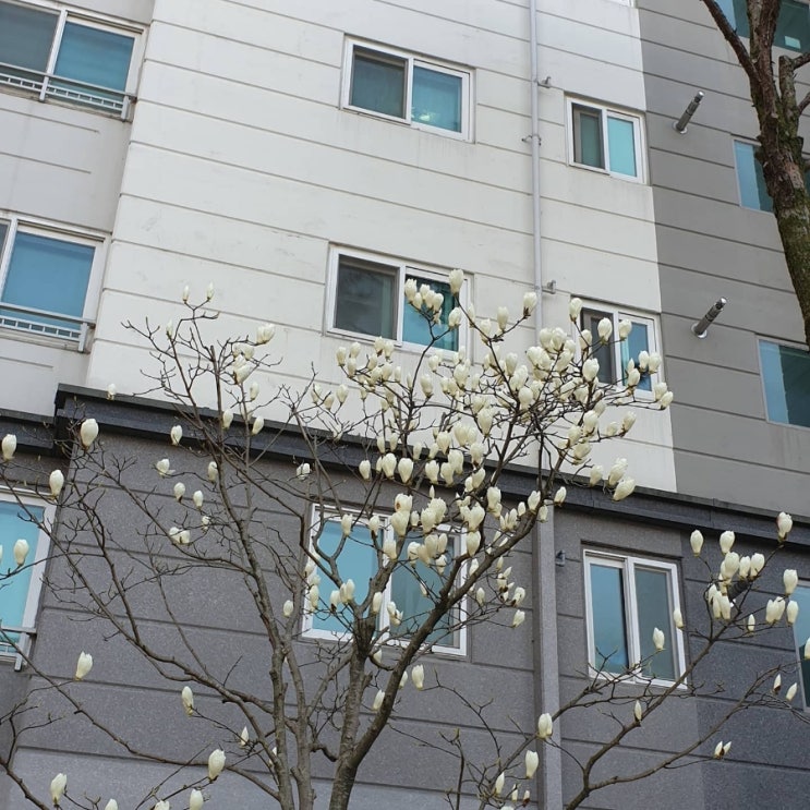 창앤스페이스메종 이미지
