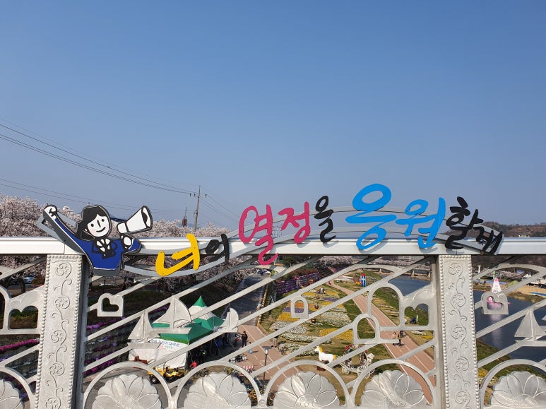 빛이물들다 이미지