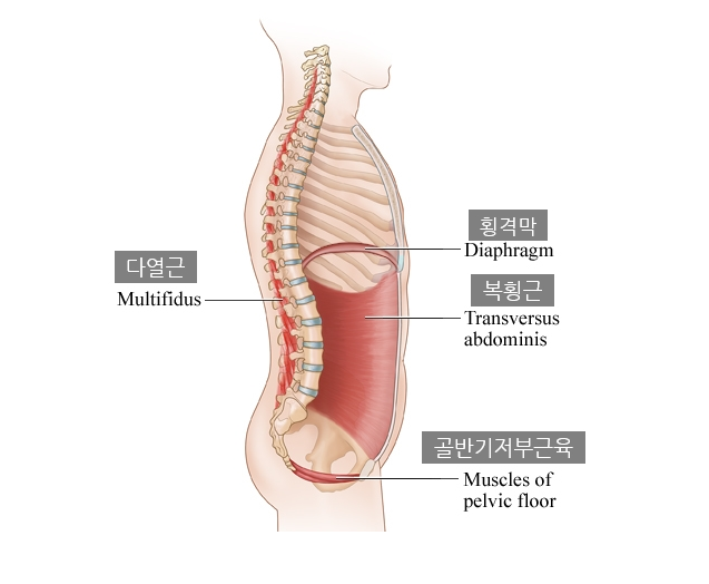 엠오엠 이미지