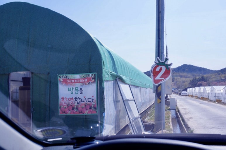 다산딸기수출 이미지