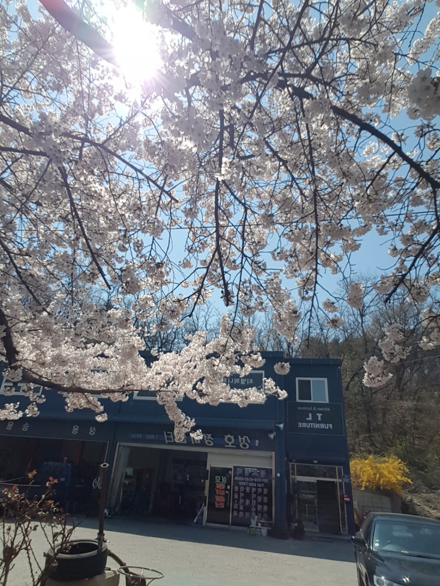우리카센터 이미지