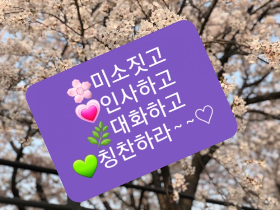 인셀덤미소 이미지