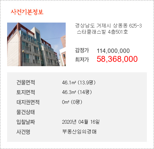 스타501 이미지