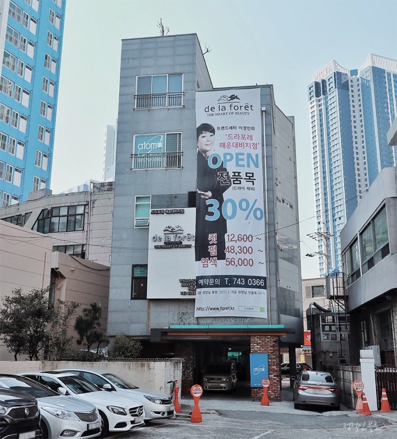 드라포레비치점 이미지